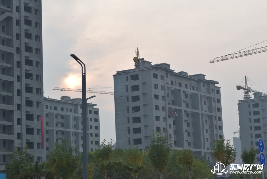 实景图