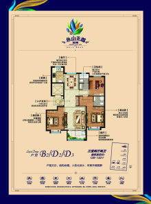 东阿鱼山美郡B2D2D3户型图
