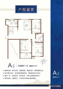 A户型